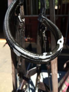 Passier Bridle Cleaner Review