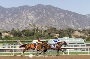 Breeders Cup 2016 Drefong Masochistic
