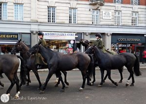 Finding Horses While Traveling - London - Royal Mews