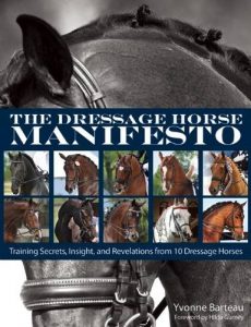 Learning Out of the Saddle: Dressage Books V.1
