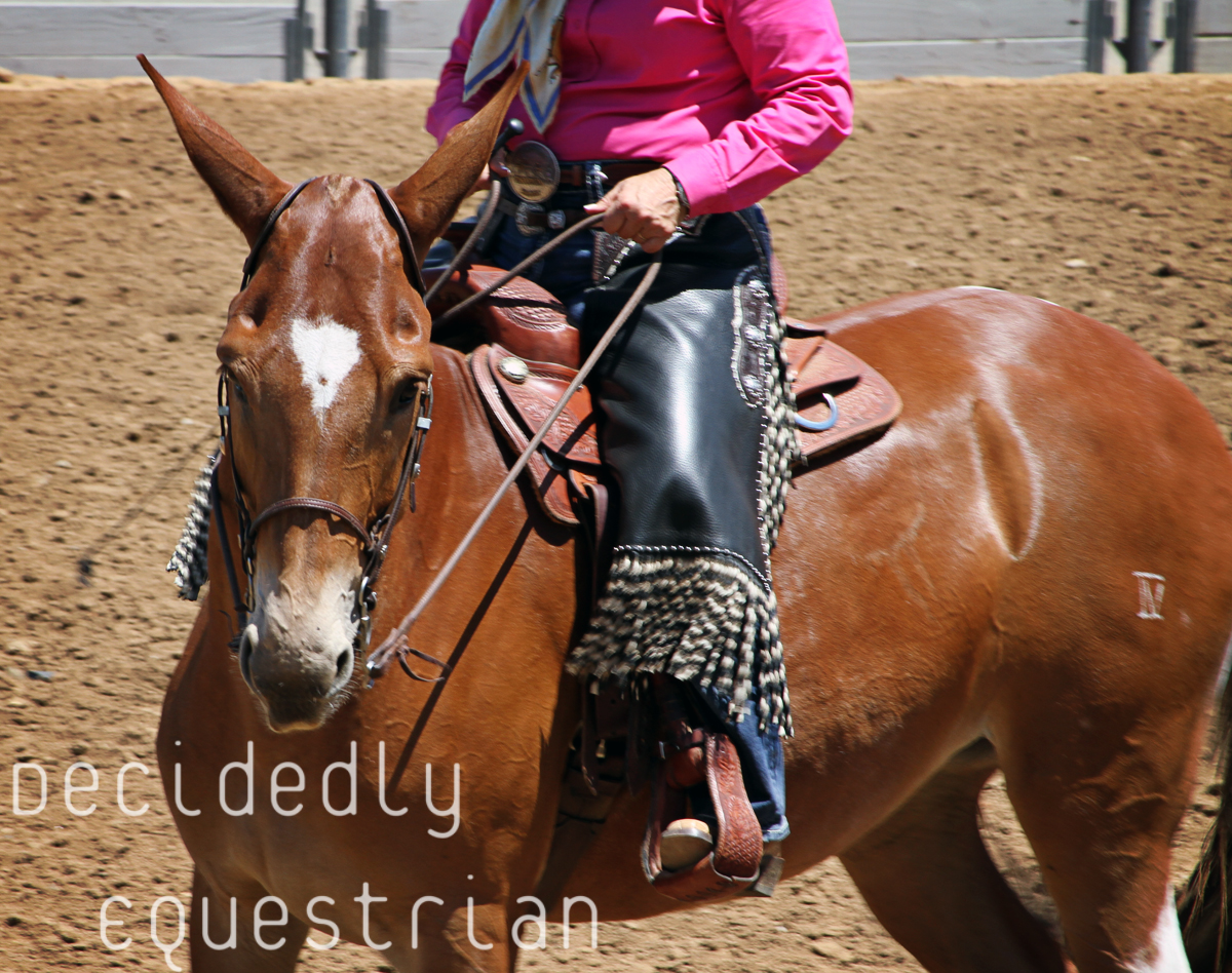 Western States Horse Expo 2015