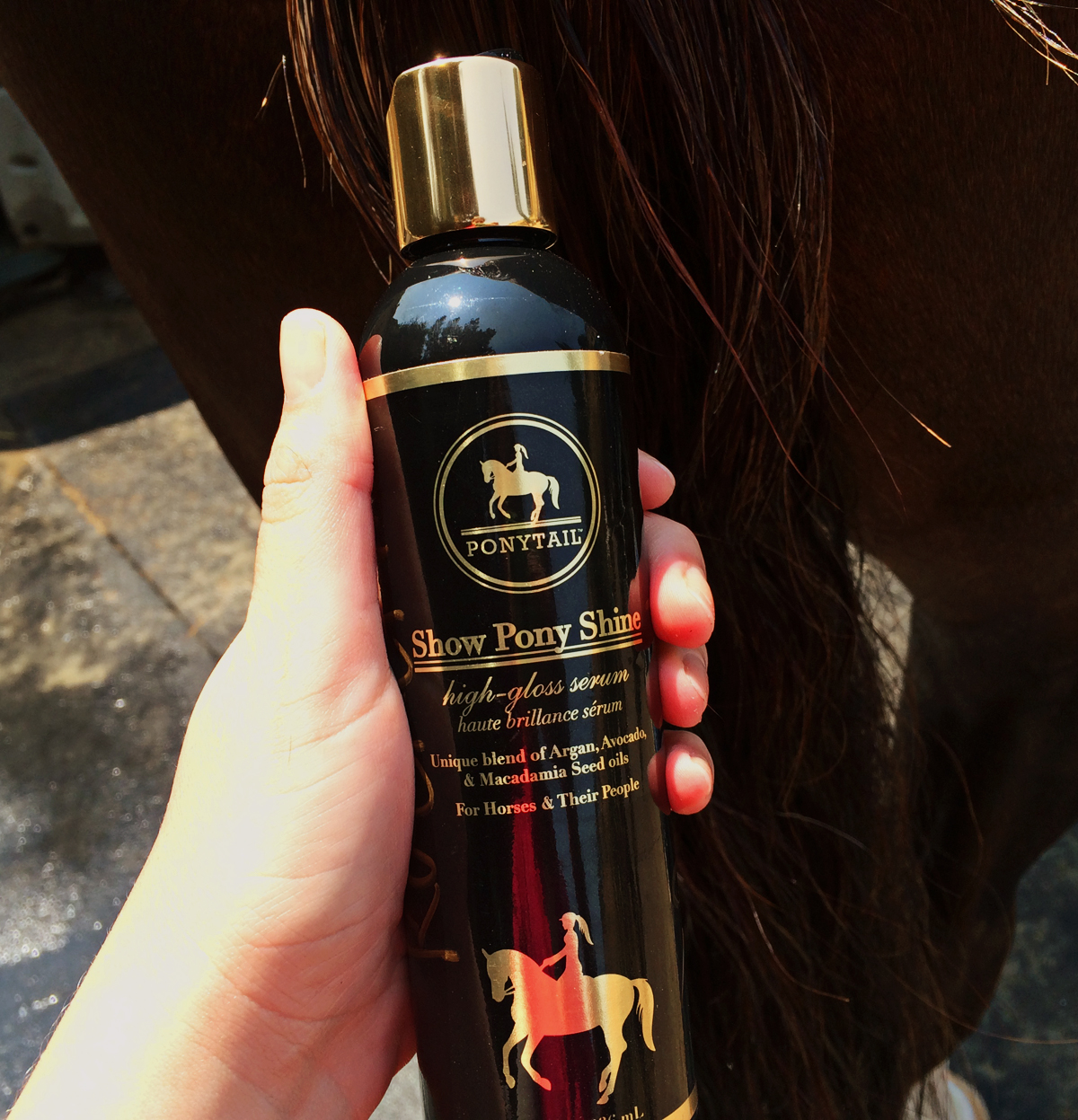 Ponytail Products Review Show Pony Shine