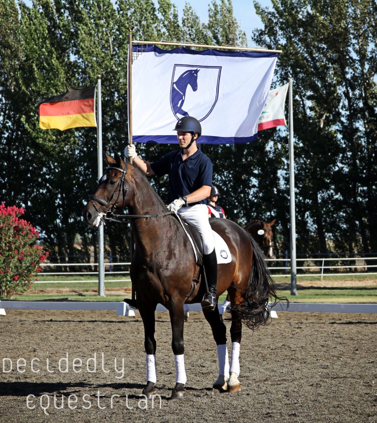 Pacific Sporthorse Selection 2015