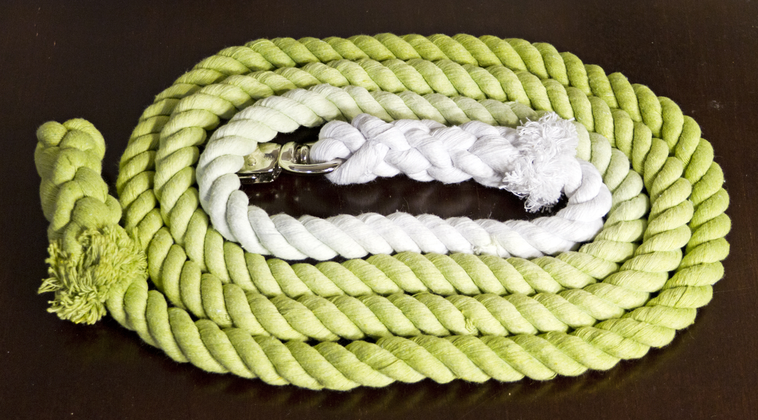DIY Ombre Dyed Lead Rope