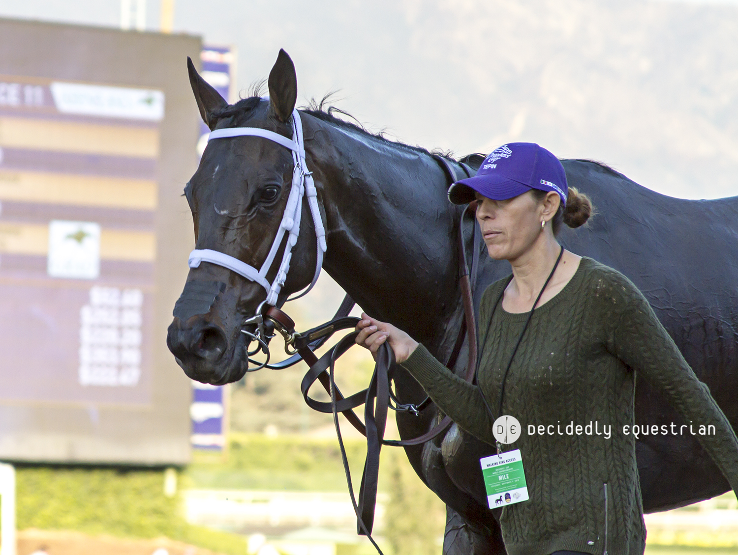 Breeders Cup 2016 Tepin