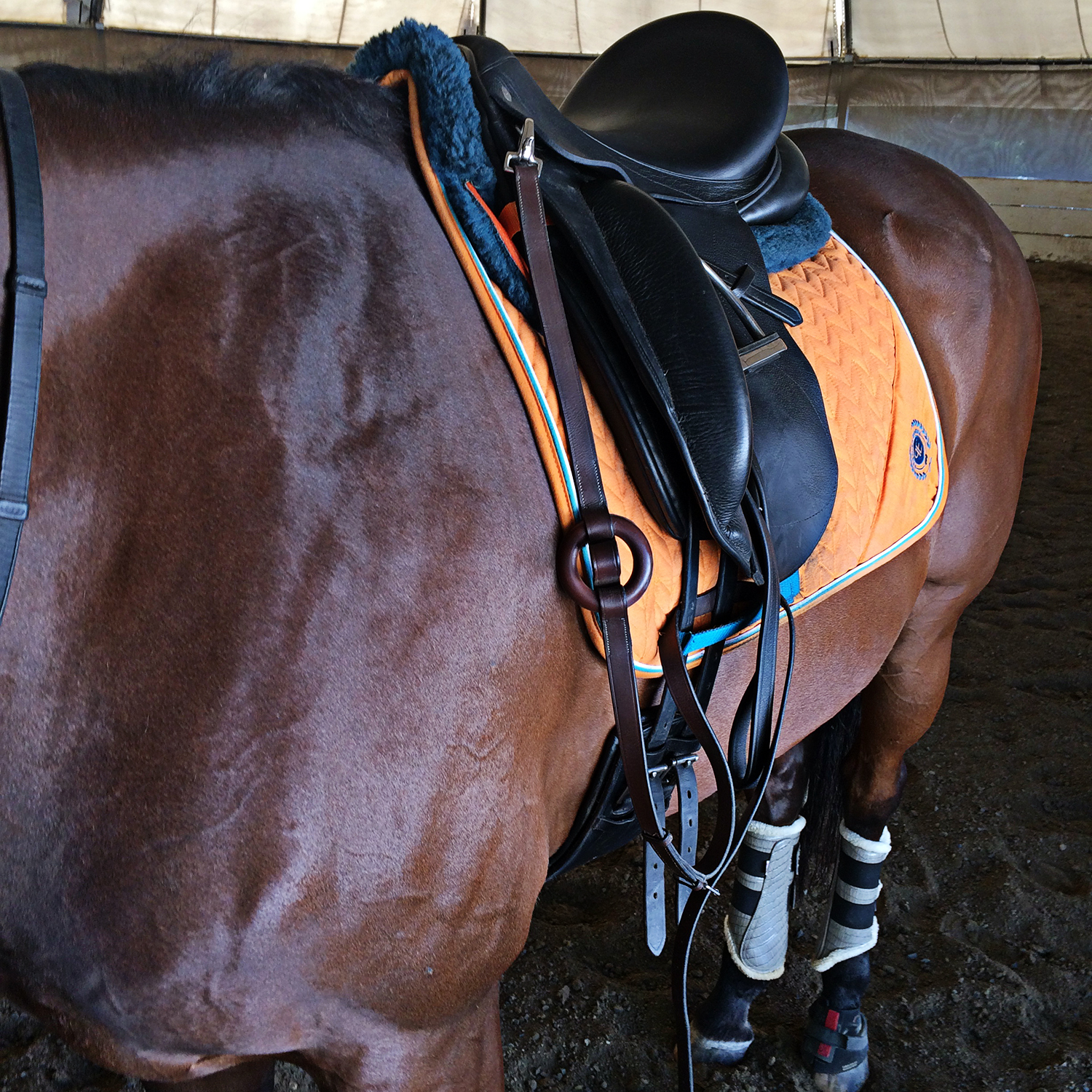 The Simple Equine's Solacing Warm Weather Comfort Spray Review