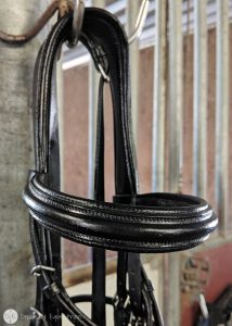 The Simple Equine Love My Leather Balsam Review