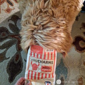 Yaky Charms Doggie Popcorn Review