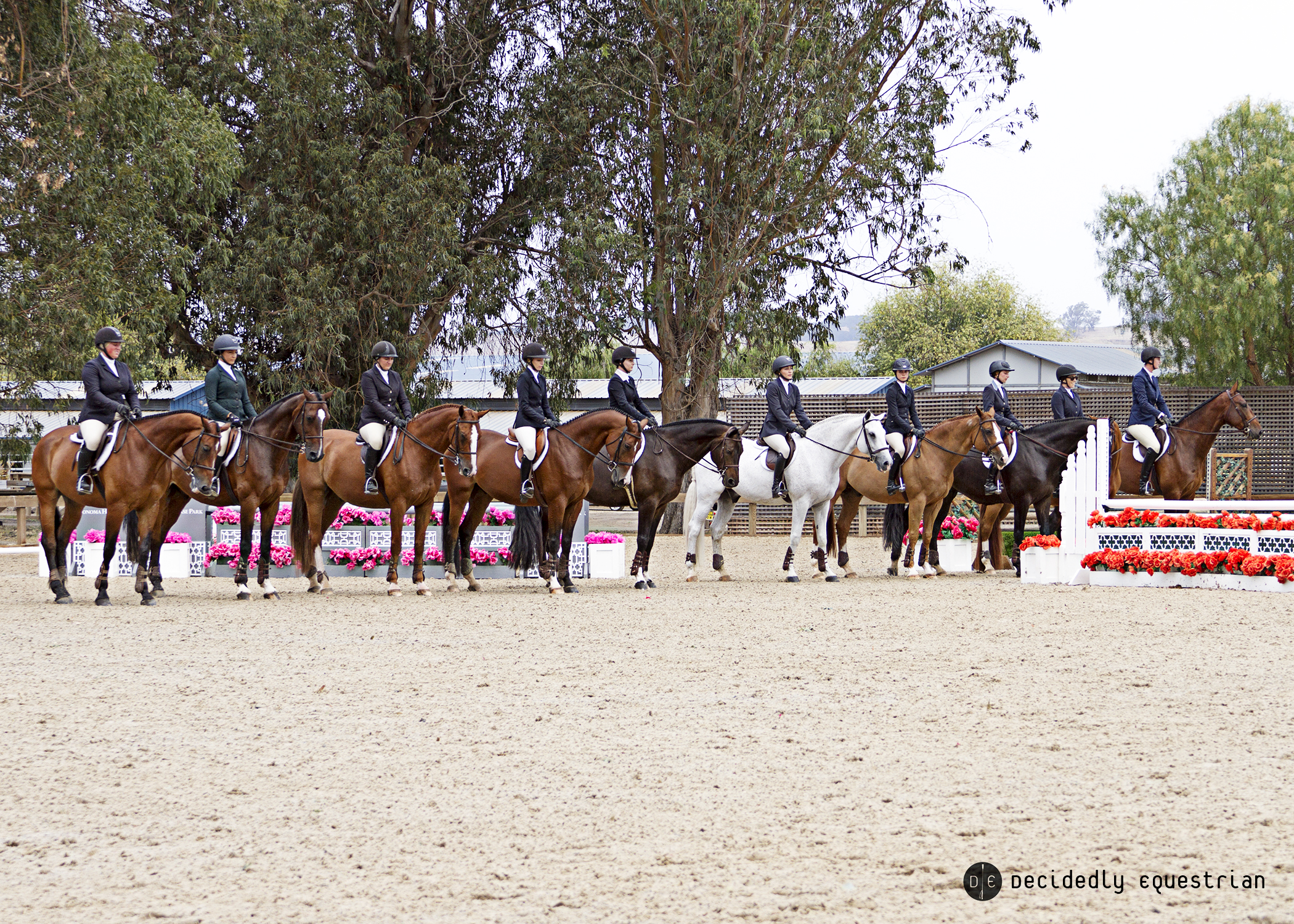 Giant Steps Charity Horse Show 2017