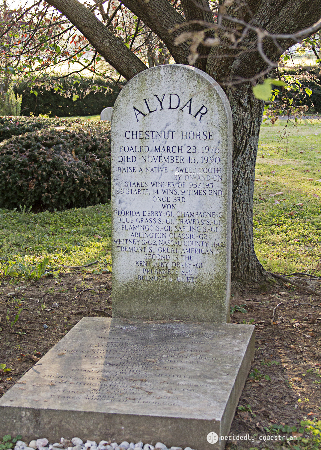 Calumet Graveyard Alydar