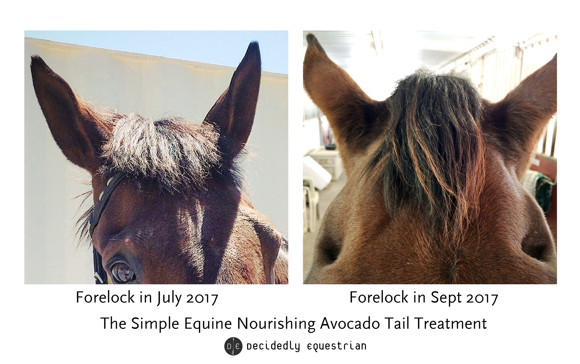 simple equine nourishing avocado tail treatment review 2