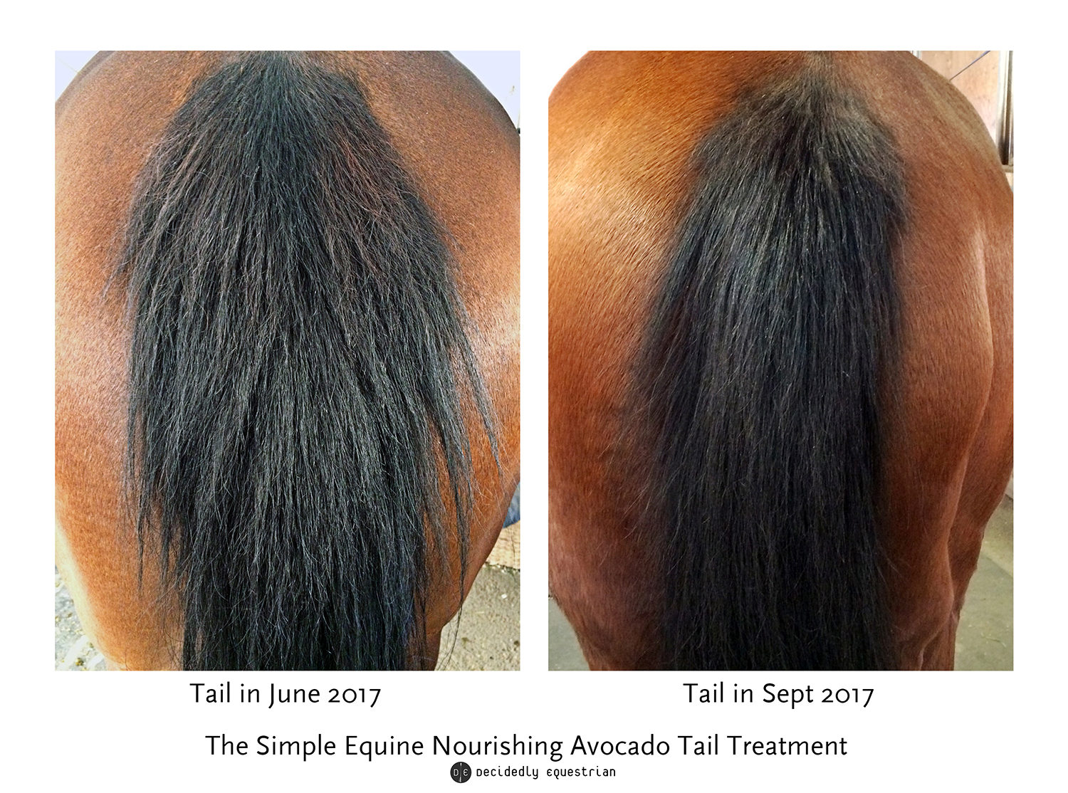 simple equine nourishing avocado tail treatment review