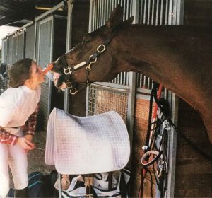 Company Spotlight: The Equestrian Journal Felicia