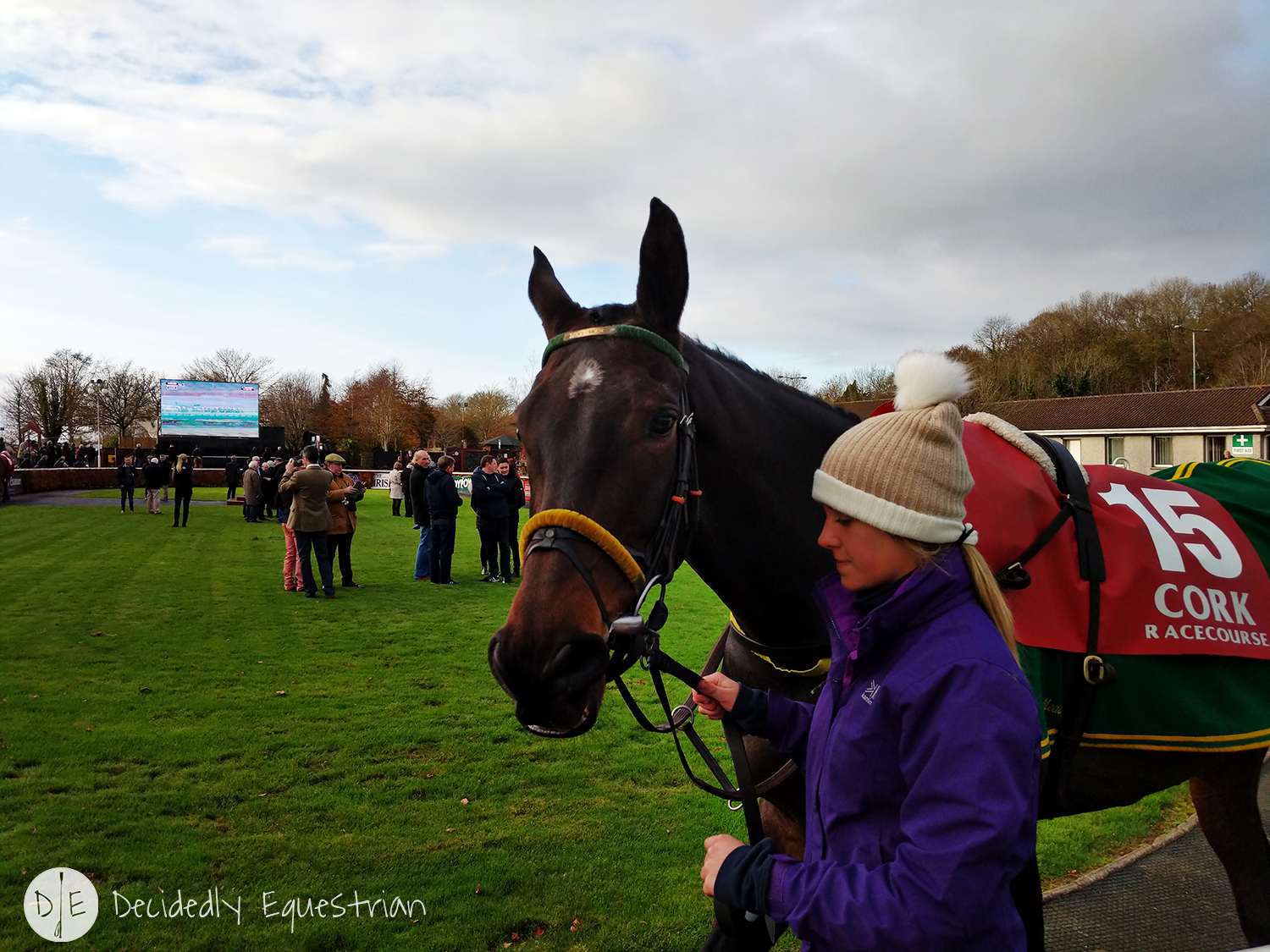 Finding Horses While Traveling - Ireland - Cork Racecourse