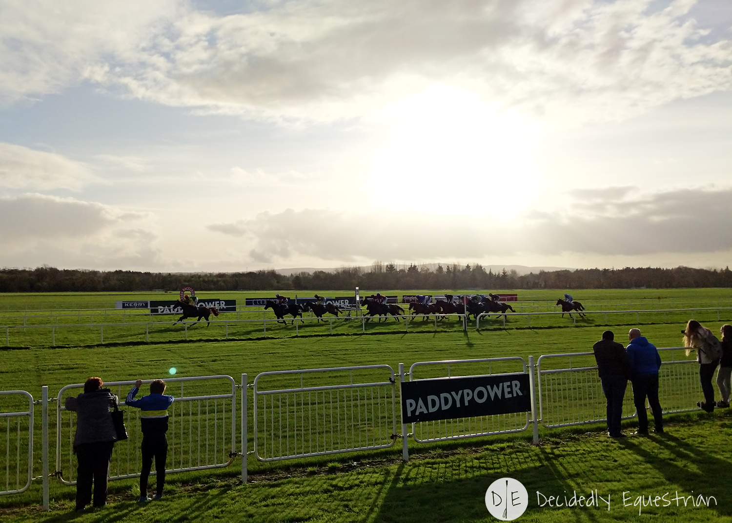Finding Horses While Traveling - Ireland - Cork Racecourse