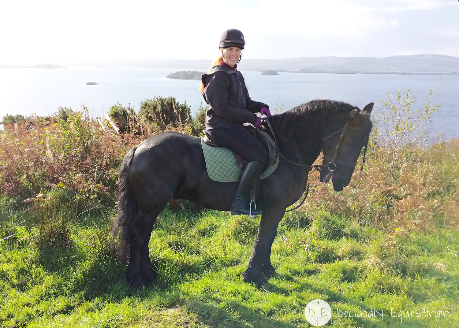 Finding Horses While Traveling - Ireland