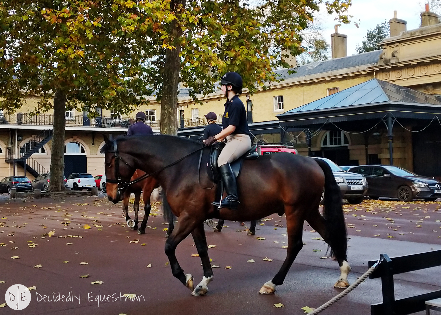 Finding Horses While Traveling - London - Royal Mews