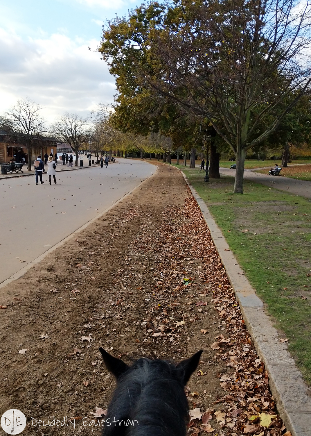 Finding Horses While Traveling - London - Ride in Hyde Park