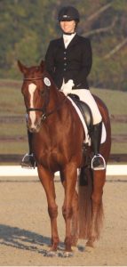 Company Spotlight: The Equestrian Journal Tilly