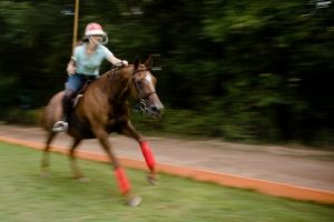Company Spotlight: The Equestrian Journal zola