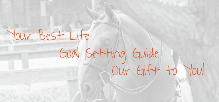 Your Best Life Goal Setting Guide from Decidedly Equestrian