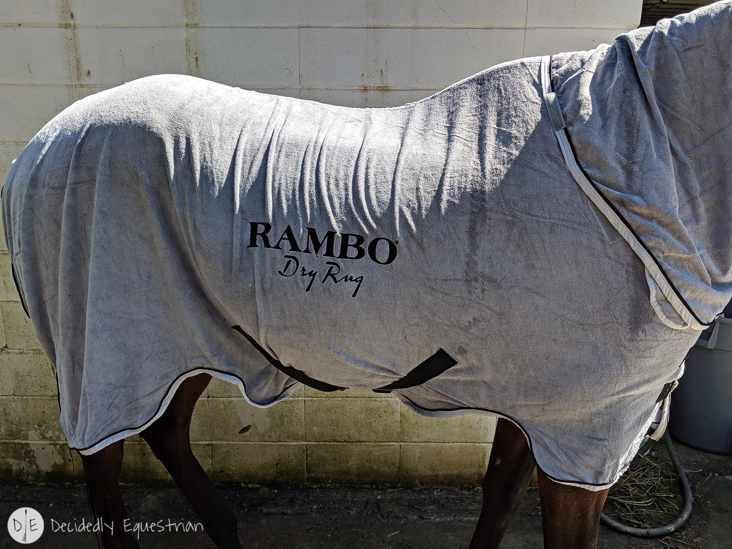 Horseware Rambo Dry Rug Review