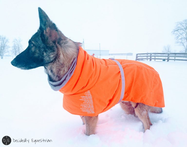 Keep your Active Dog Cozy with the Extreme Warmer from Hurtta North America