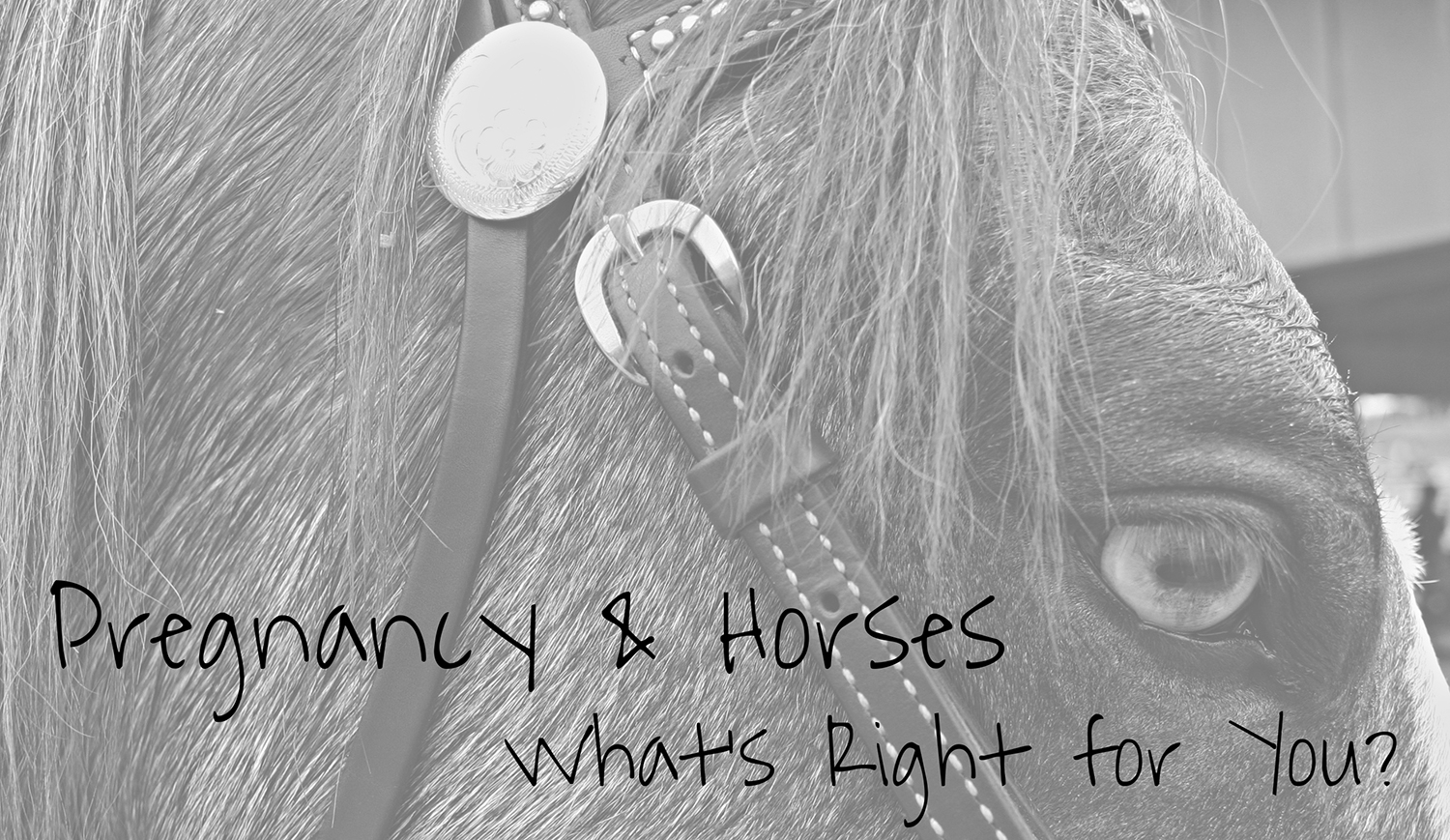Pregnancy and Horses. What's right for you?