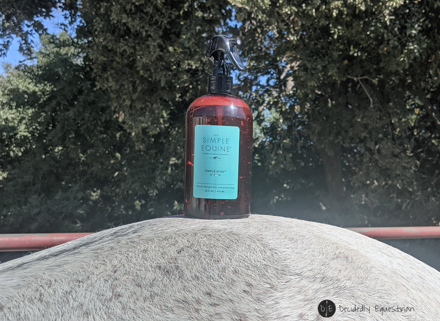 Simple Suds Shampoo Review