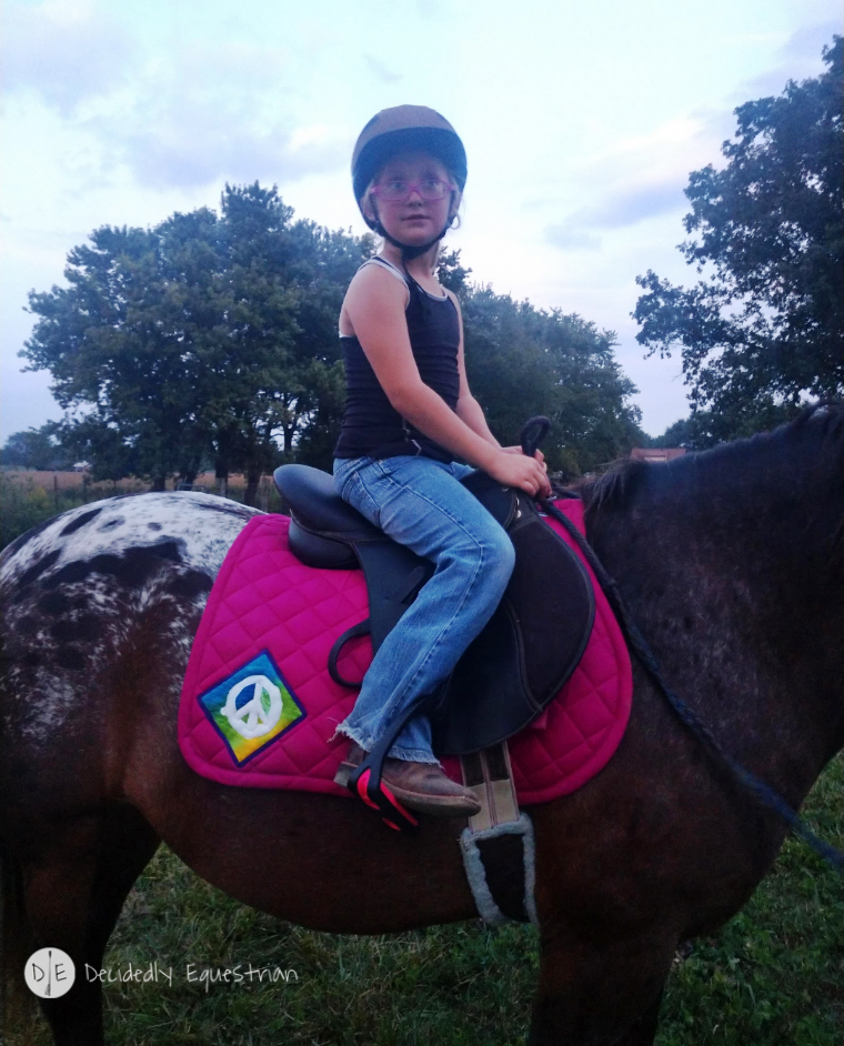 Laughing Mare AP Saddle Pad Review