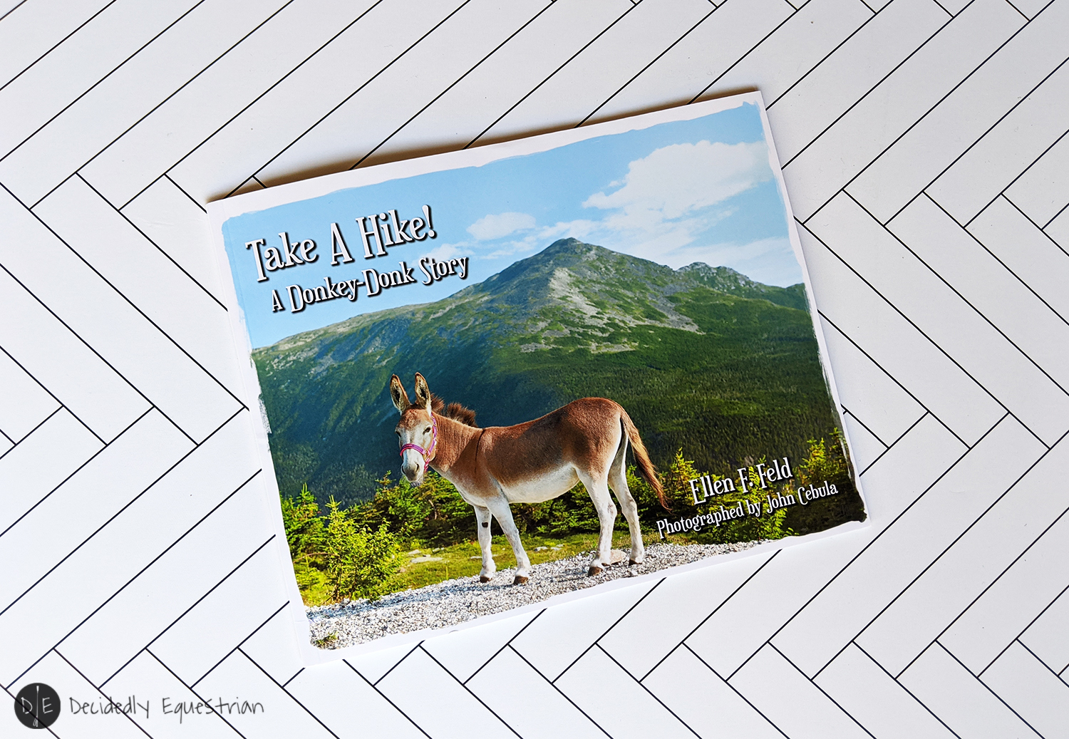 Take A Hike! A Donkey-Donk Story by Ellen F. Feld Book Review