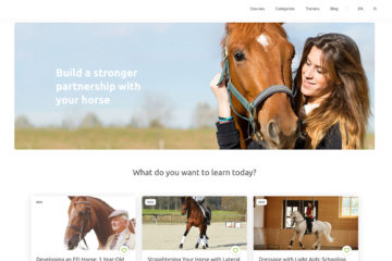 wehorse Subscription Review