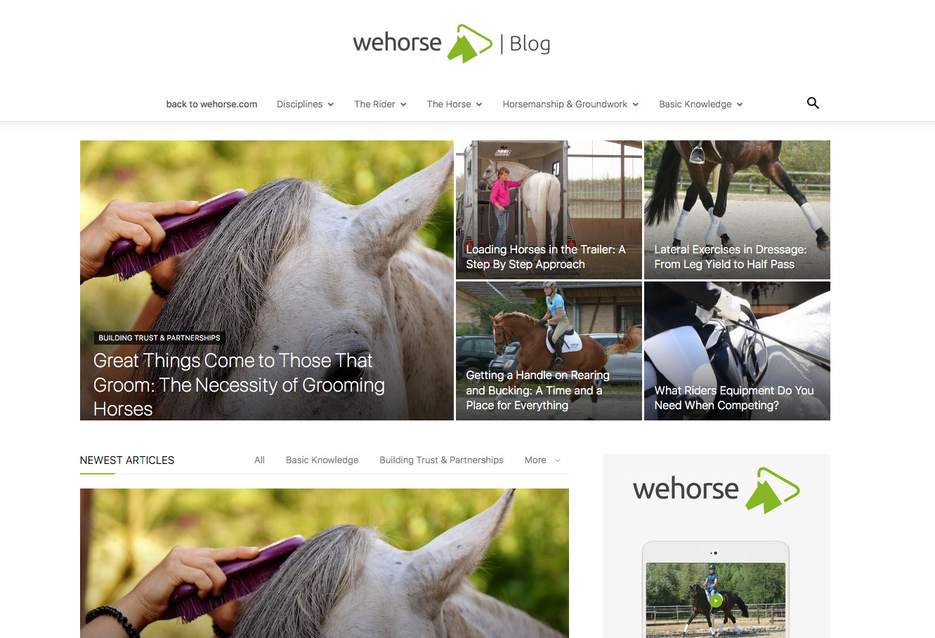 wehorse Subscription Review