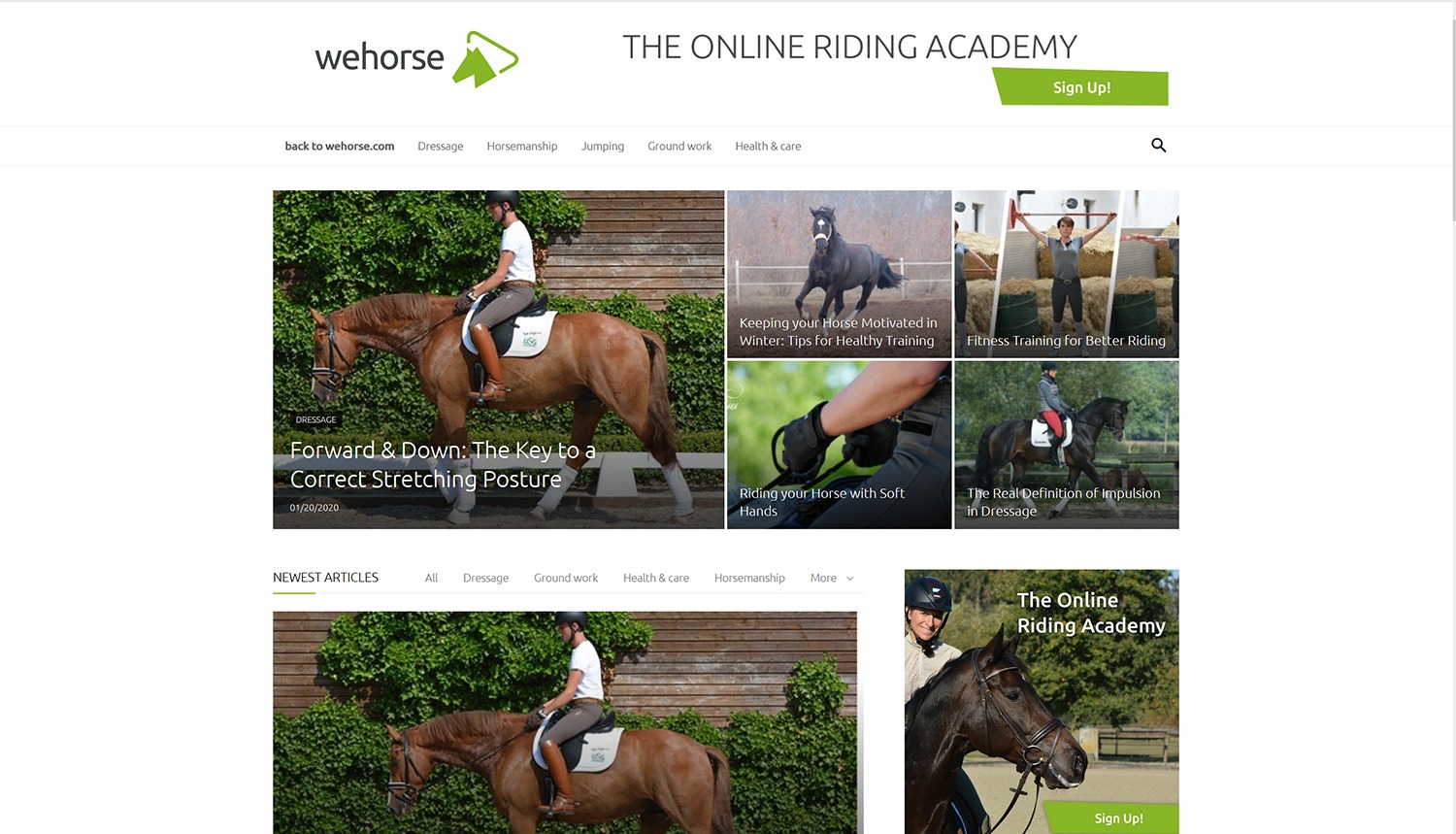 Wehorse Subscription Review