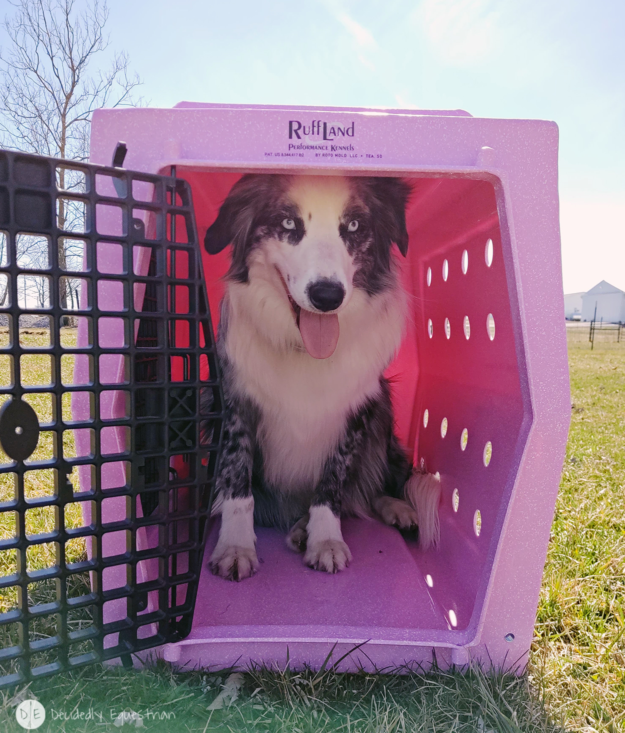 Ruff Land Performance Kennel Review