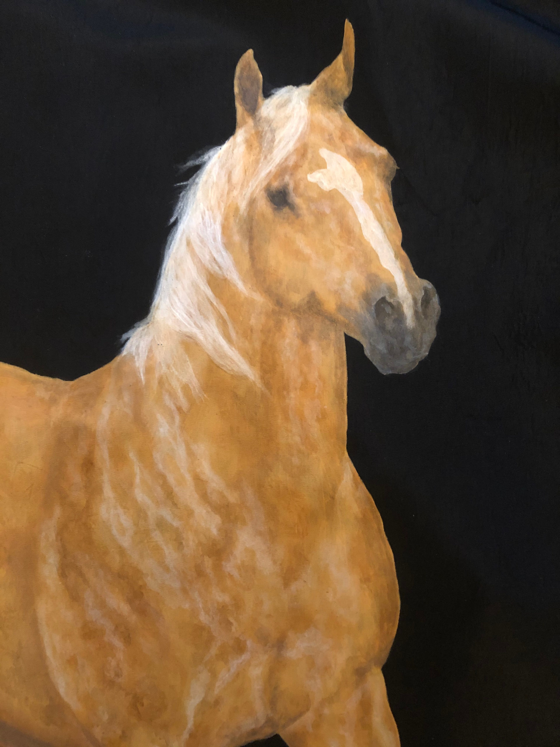 Artist Spotlight: HERS Equine