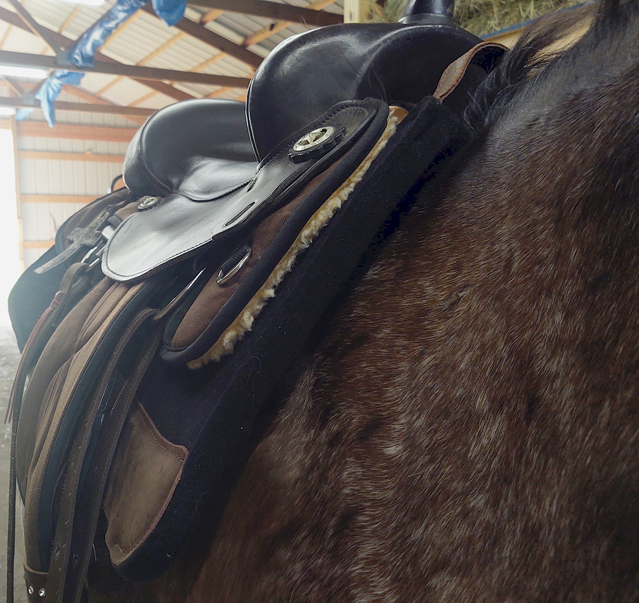Total Saddle Fit Perfect Saddle Pad Review