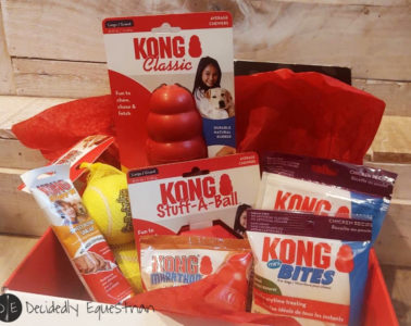 KONG Canine Subscription Box Review