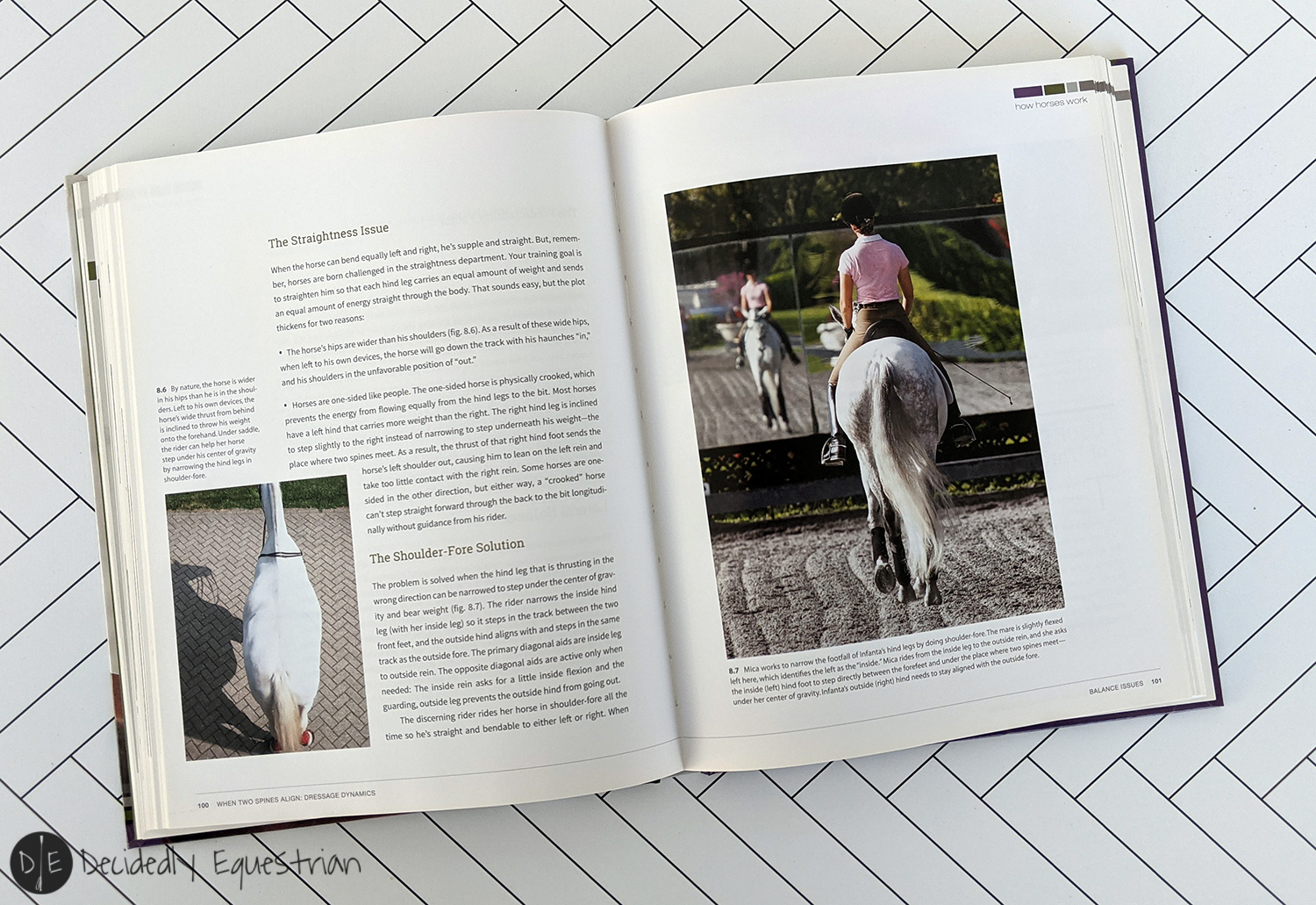 Learning Out of the Saddle: When Spines Align: Dressage Dynamics Book Review