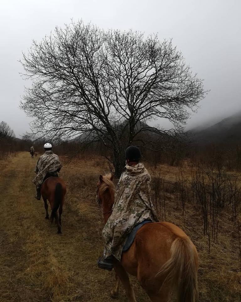 Everyday Equestrians: Amanda Graf