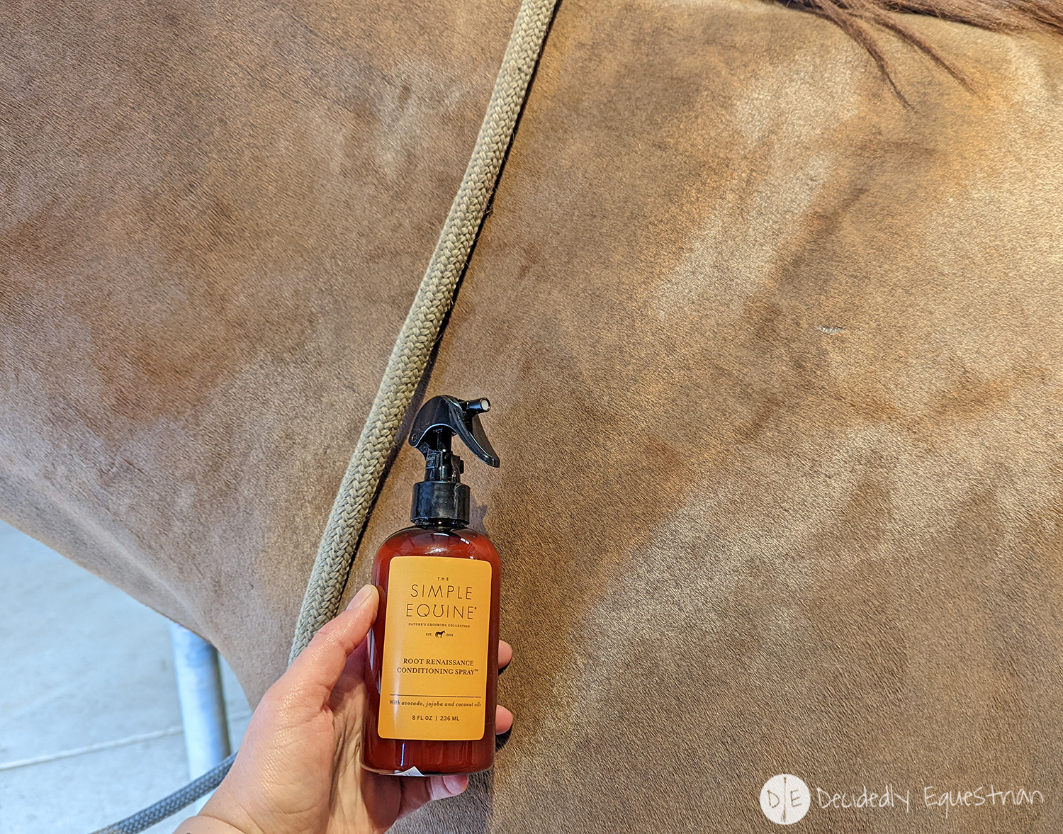 The Simple Equine Root Renaissance Conditioning Spray Review