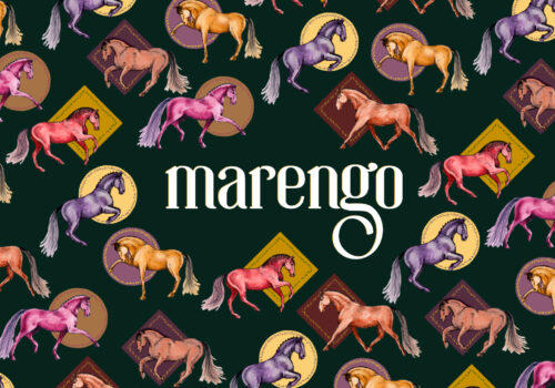marengo banner fall