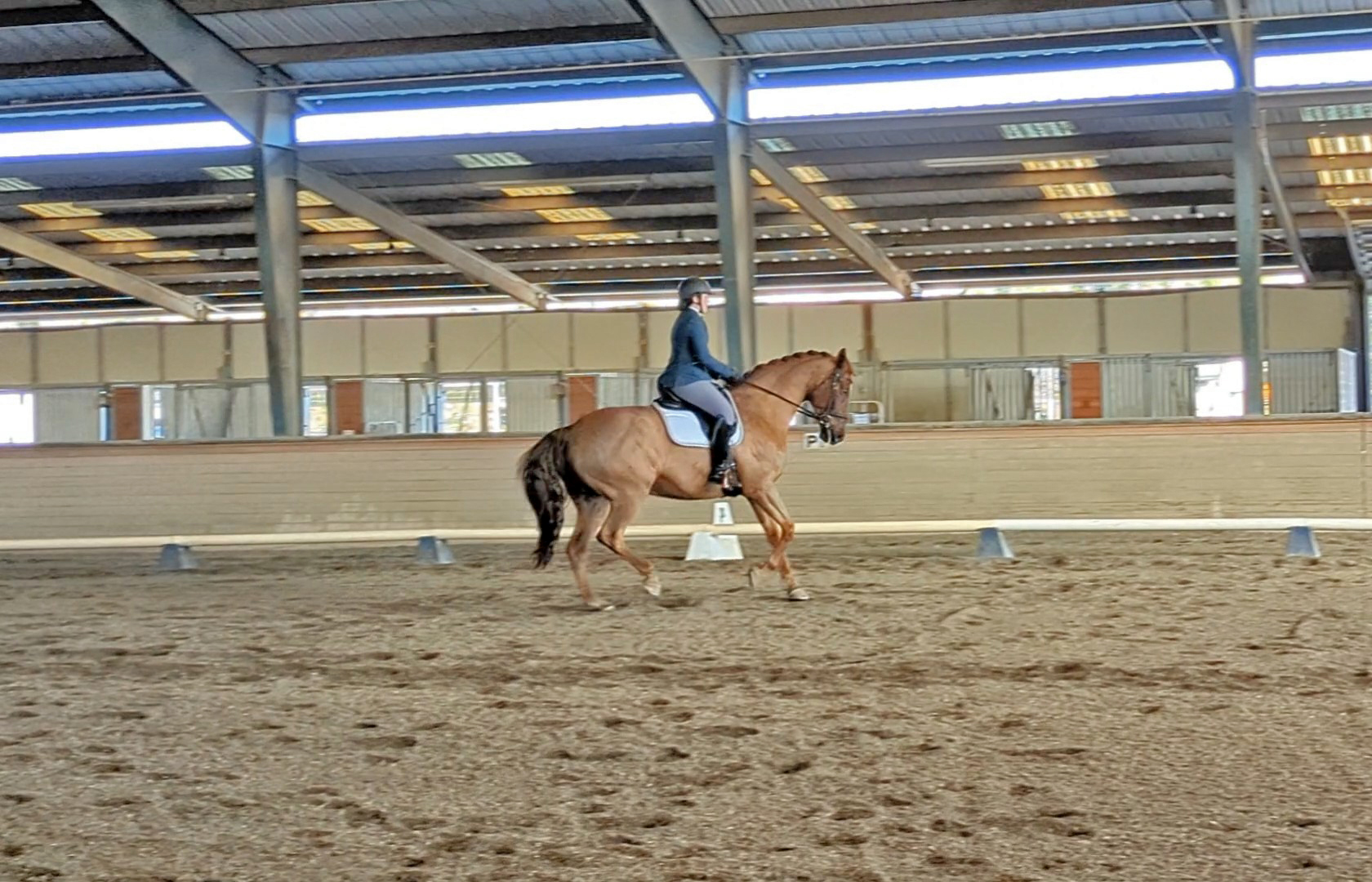 Decidedly Dressage - Reassessing, Rerouting, Regressing