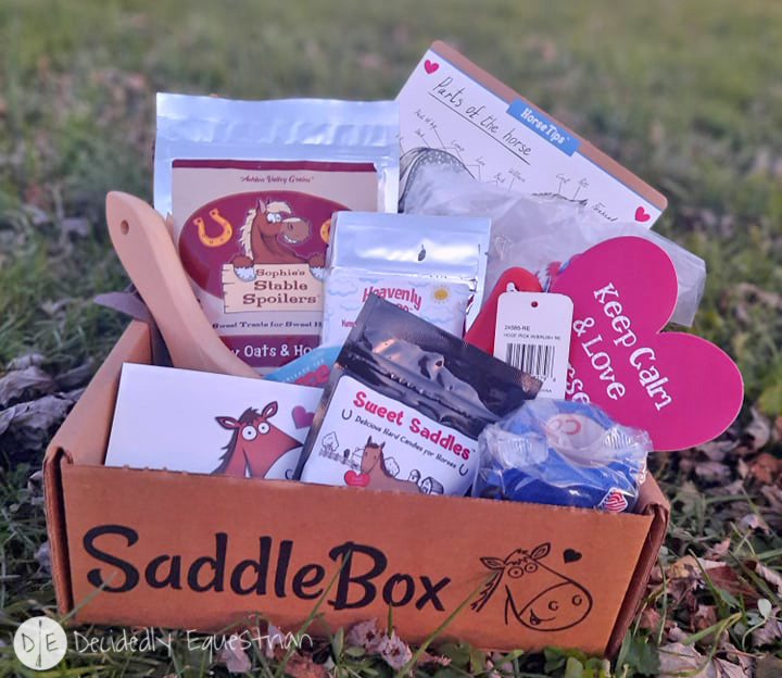 Saddle Box Review
