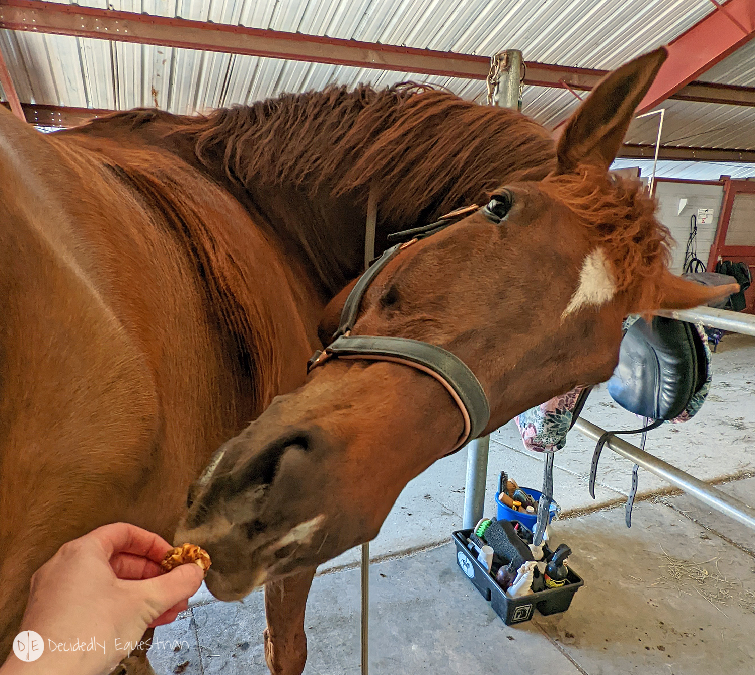 Caballo Cookies Review