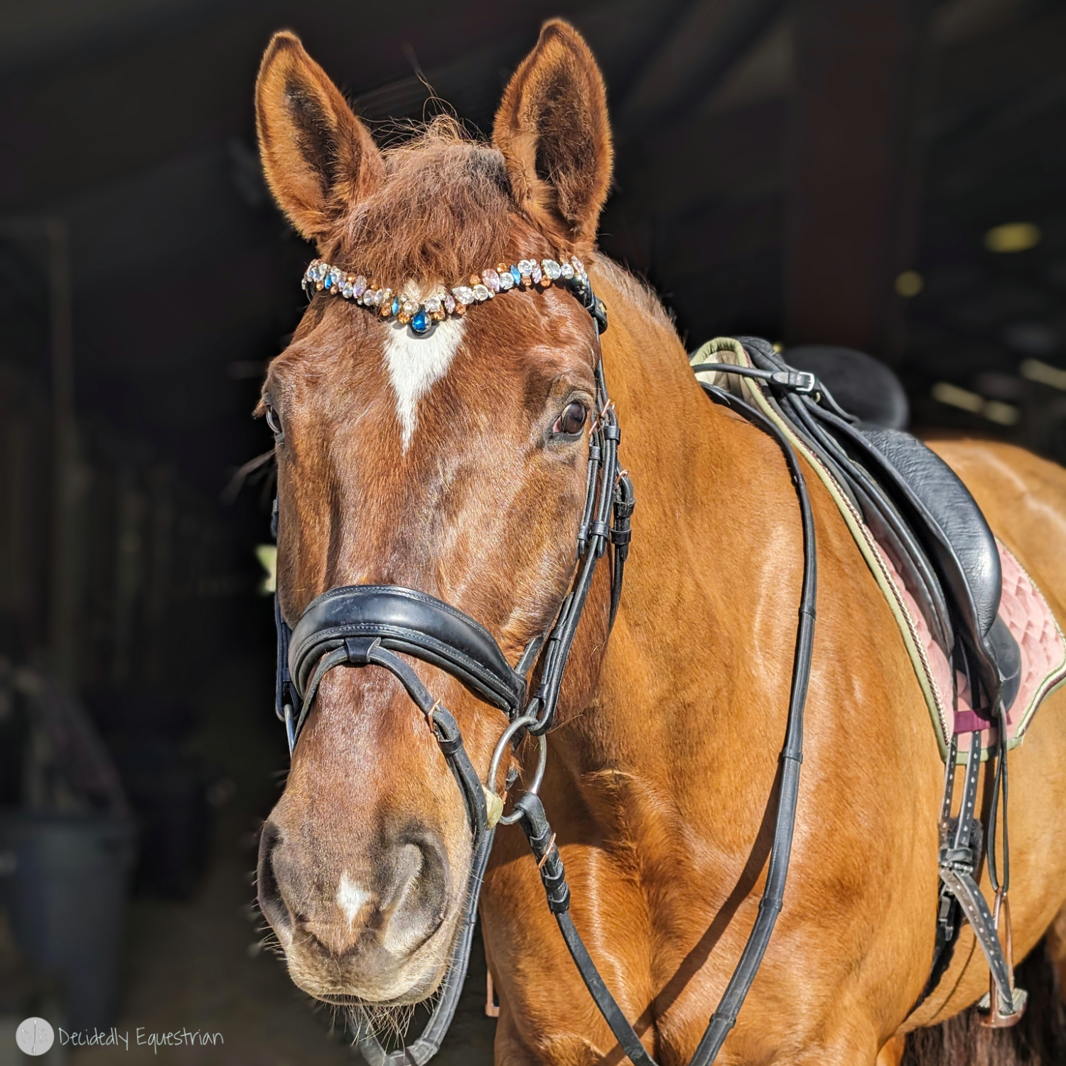 Masego Horsewear Ania Browband Review